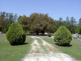 Baptist Church burial ground, Bonneau